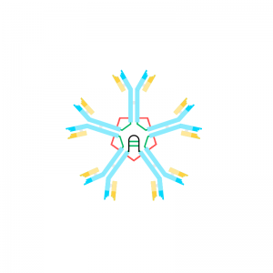 Anti IgM Antibody Monoclonal (Human)
