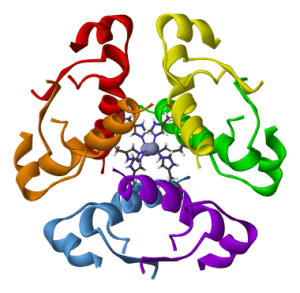 Insulin Hexamer