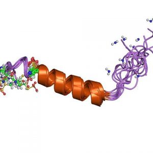 Procalcitonin Antibody (Mouse Monoclonal)