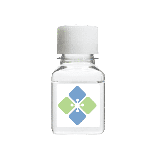 Des-Arg9-Bradykinin Peptide (High Purity)