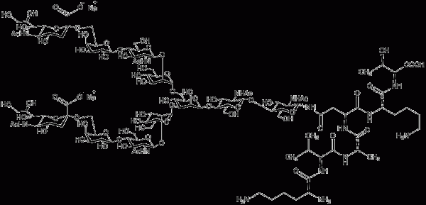 Sialylglycopeptide (High Purity Peptide) - Molecular Depot