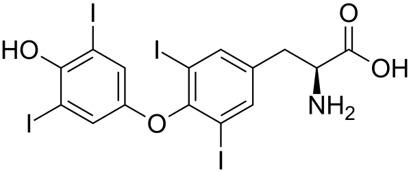 Thyroxine BSa Conjugate