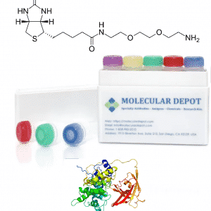 UltraFast Biotinylation Kit (mg scale, 10 reactions)