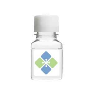 PTH Human Recombinant (Highly Pure)