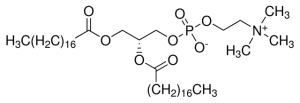 1,2-distearoyl-sn-glycero-3-phosphocholine