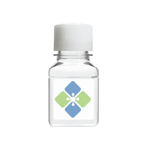 Sodium 8-Anilino-1-naphthalenesulfonate (High Purity)