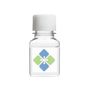 Biocytin TMR (Highly Pure)