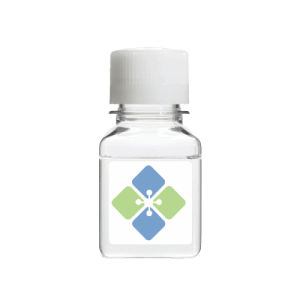 S6 Kinase Substrate Amide Conjugated to Biotin