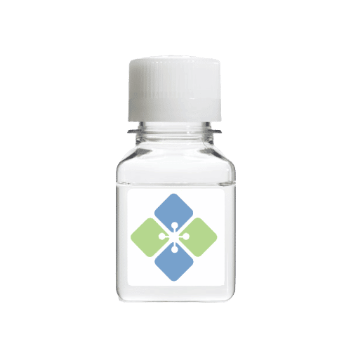 Hyaluronic Acid from Bacteria