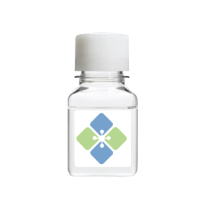 Inosine 5′-Triphosphate (Sodium Salt)