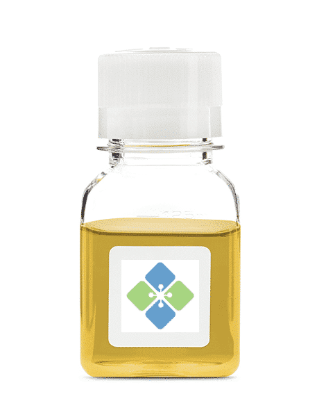 Single Donor Human Obesity Serum