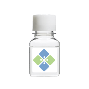 Hanks′ Balanced Salt Solution