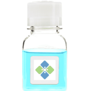 Methylated Control DNA