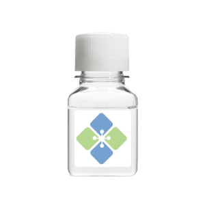 Octyl β-D-glucopyranoside