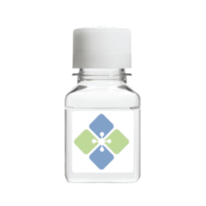 7-Deaza-7-Propargylamino-2′-deoxyguanosine-5′-Triphosphate